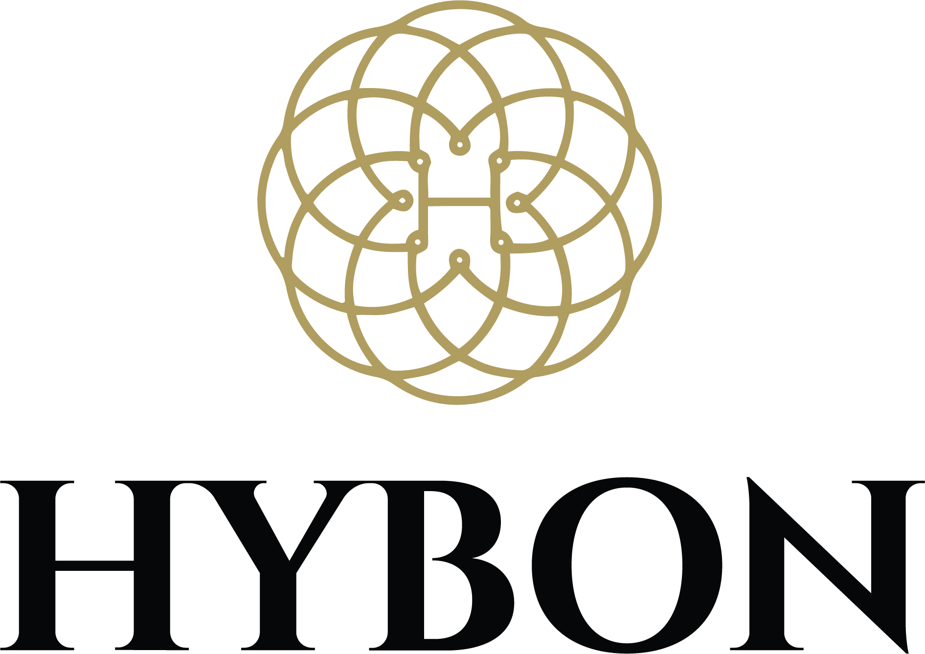 Hybon