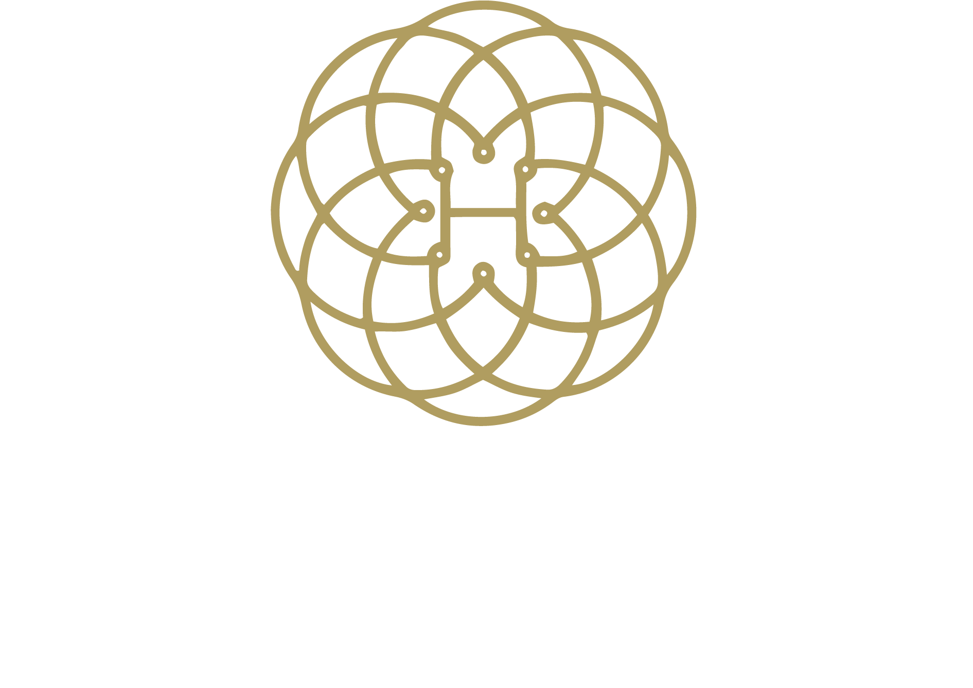 Hybon